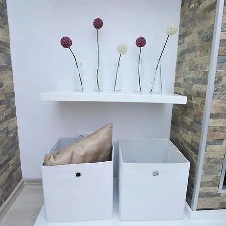 Apartment Delfin