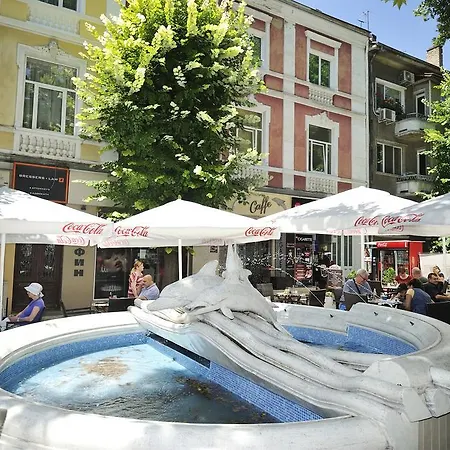 Delfin Varna